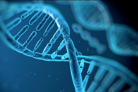 Integragen genomics dna sequencing