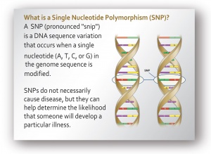 SNP-autism